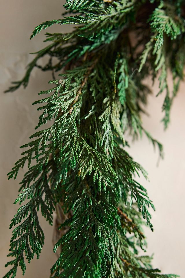 Preserved Cedar Circlet Wreath #1