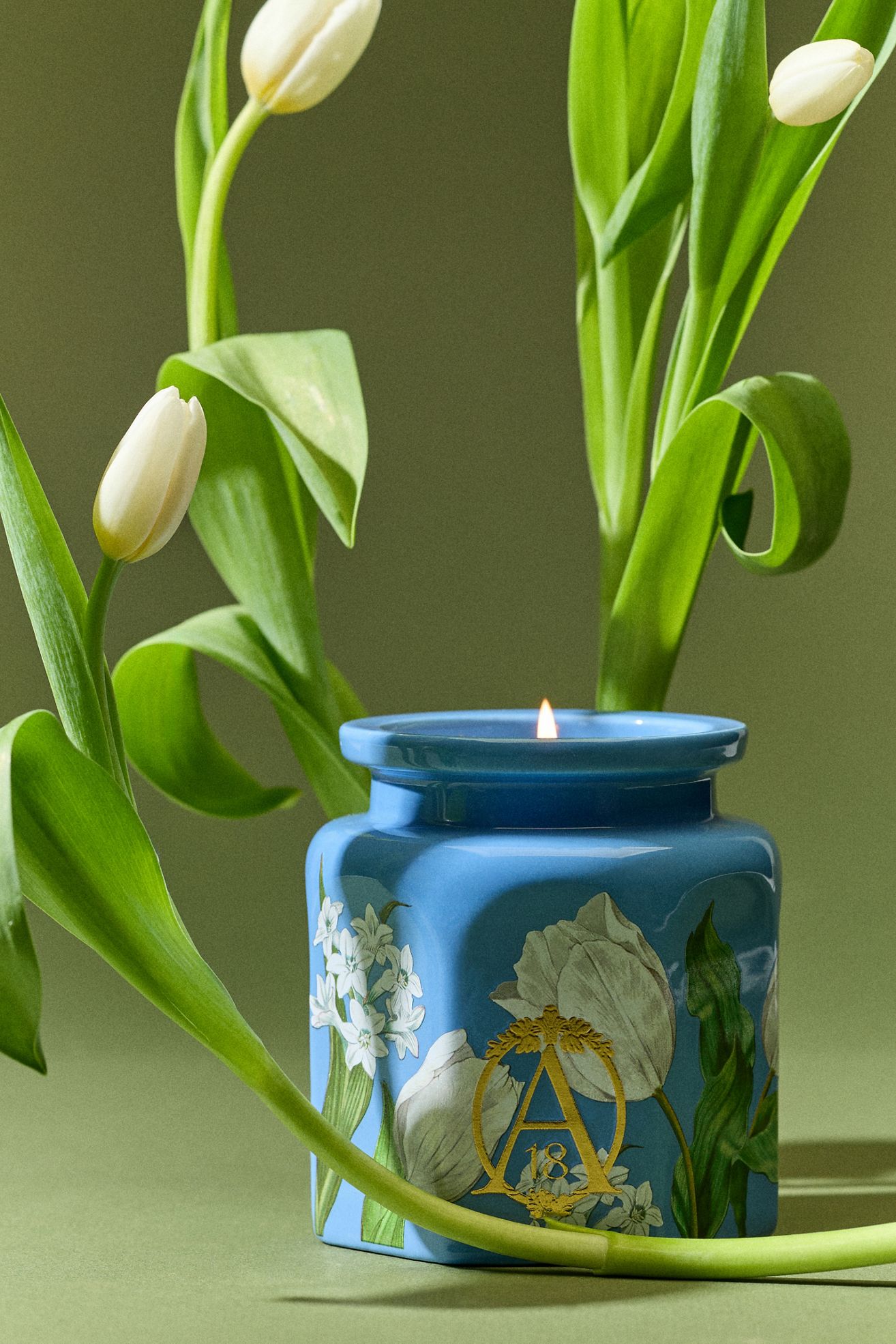 Apothecary 18 Floral Tulip Fields Ceramic Candle - Tulip Fields, M