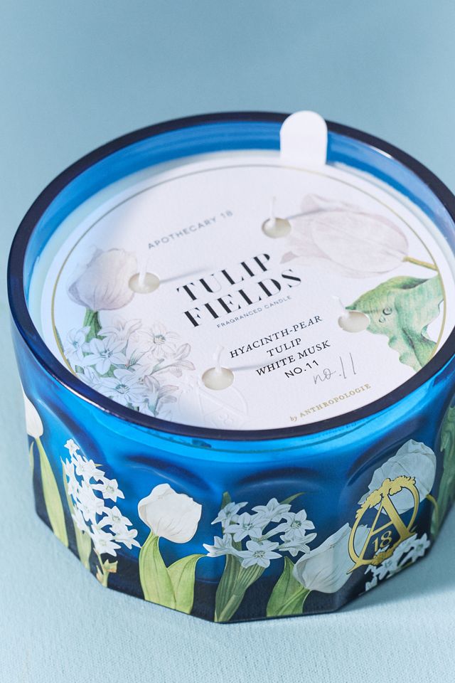 Apothecary 18 Floral Tulip Fields Low Wide Glass Candle | AnthroHome