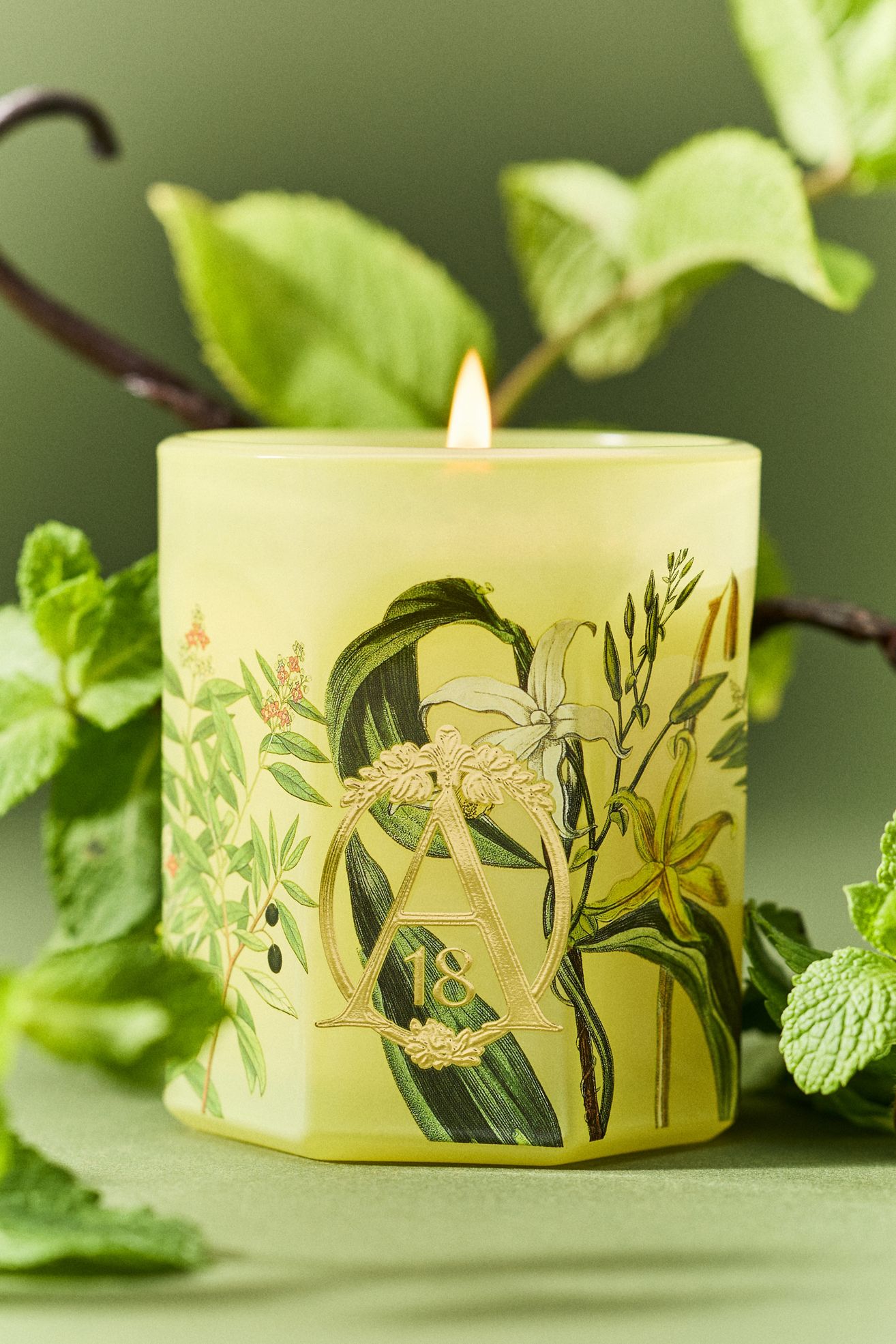 Apothecary 18 Woody Sandalwood & Vanilla Glass Candle - Sandalwood Vanilla, XS