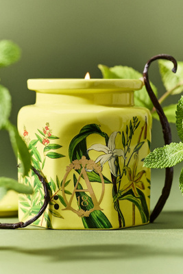 Apothecary 18 Woody Sandalwood & Vanilla Ceramic Candle | AnthroHome