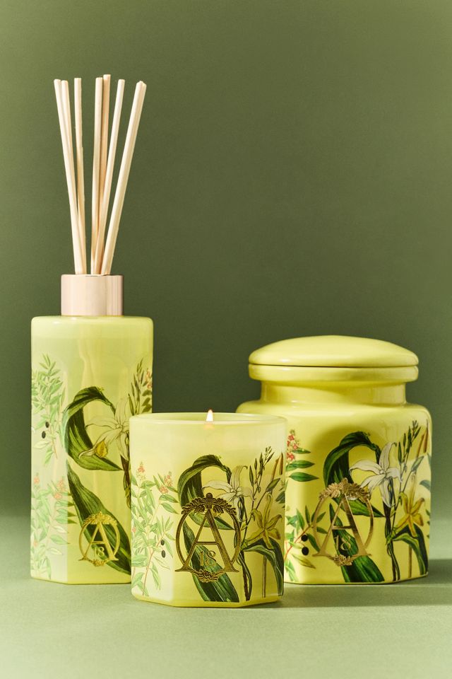 Apothecary 18 Woody Sandalwood & Vanilla Ceramic Candle | AnthroHome