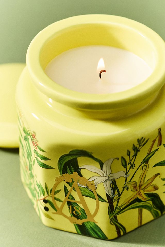 Apothecary 18 Woody Sandalwood & Vanilla Ceramic Candle | AnthroHome