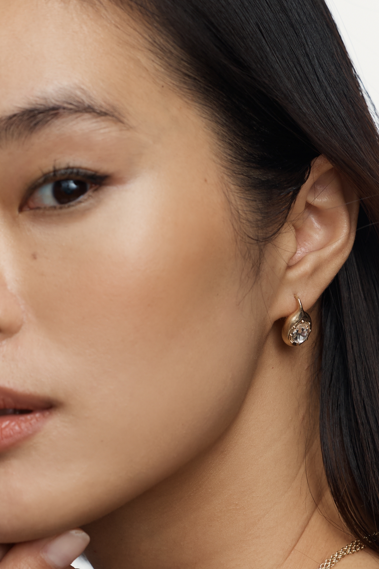 Crystal Fishhook Earrings