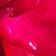 Fuschia