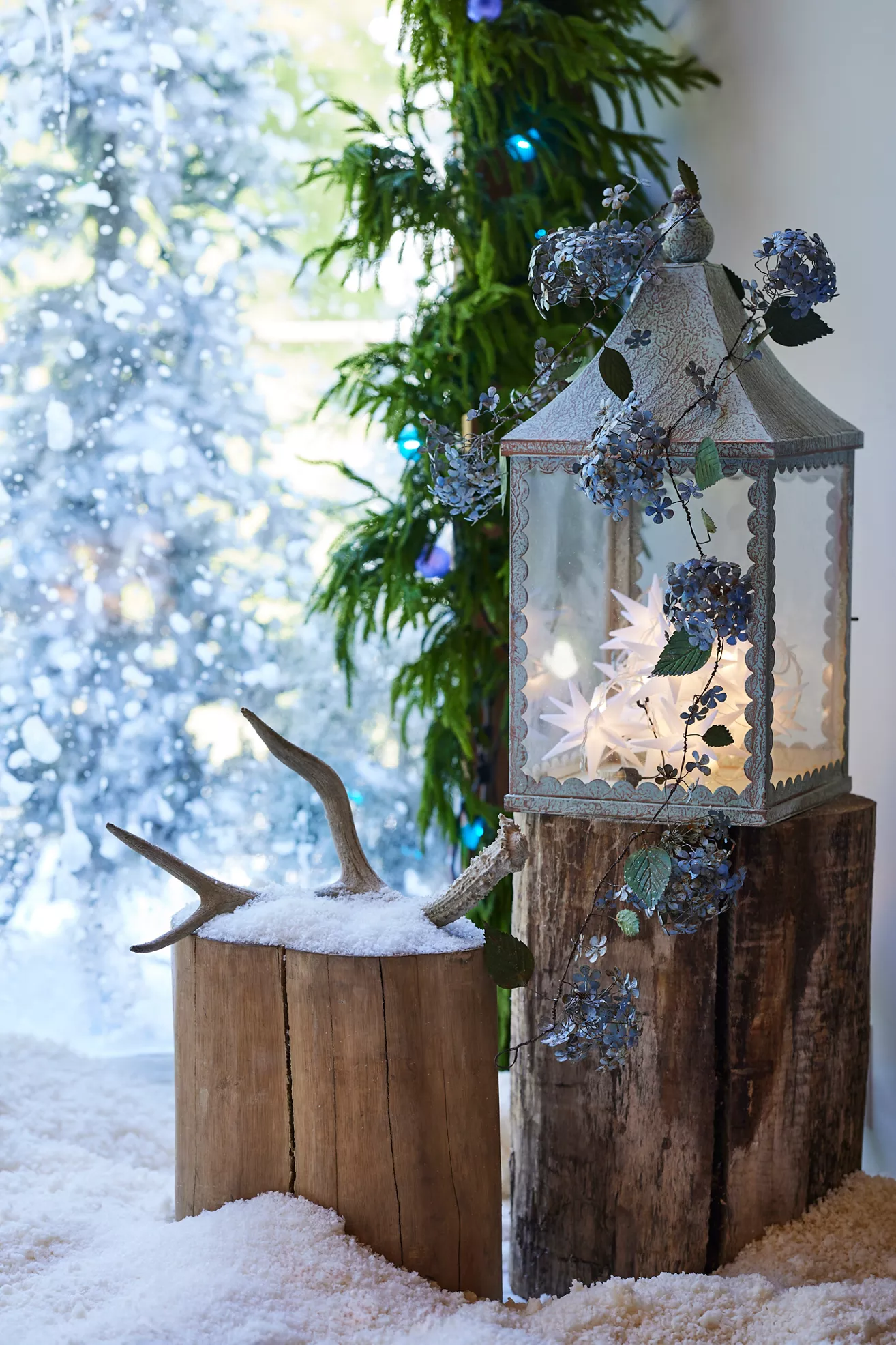 Terrain Stargazer Moravian Star String Lights - thumbnail 10