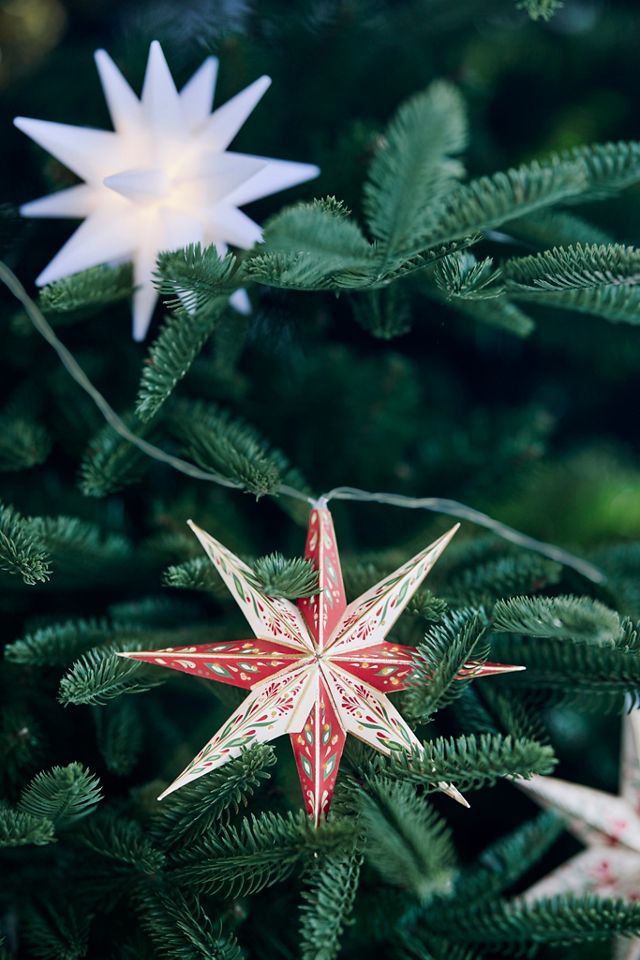 Terrain Stargazer Moravian Star String Lights #4