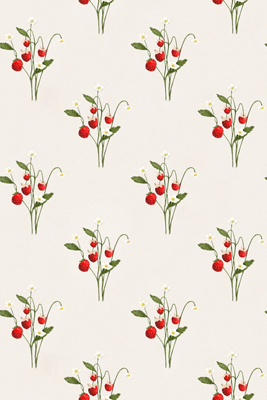 Anthropologie Teresia Fruit And Floral Wallpaper By Sarah Jessica Parker In White