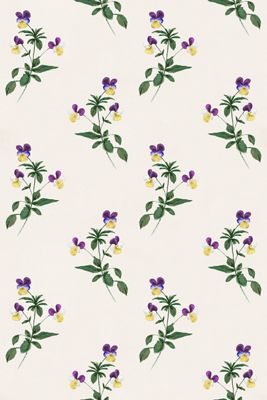 Charlotta Floral Wallpaper by Sarah Jessica Parker
