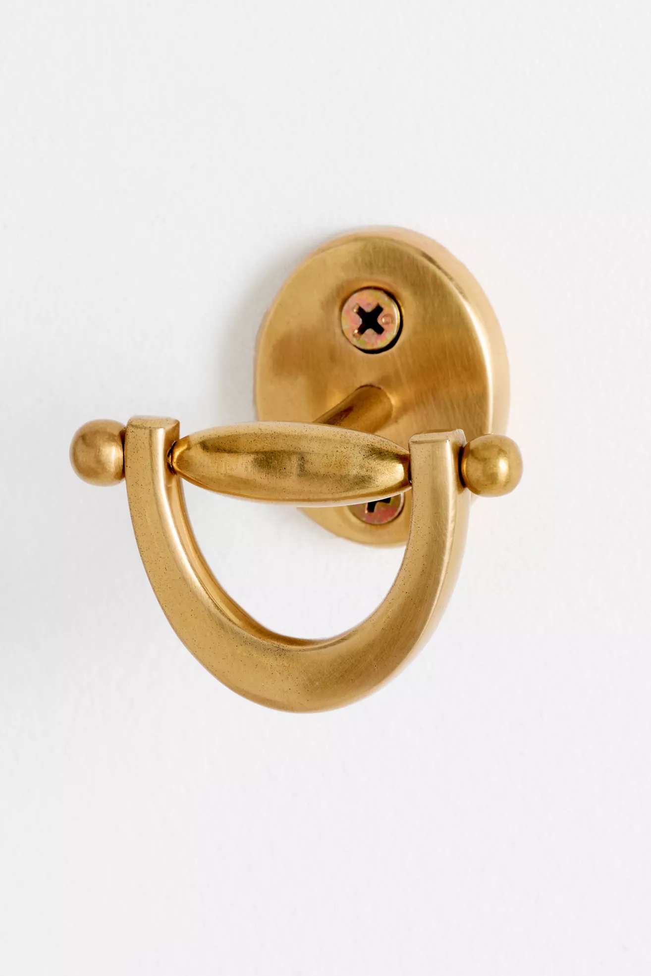 Equestrian Brass Hook