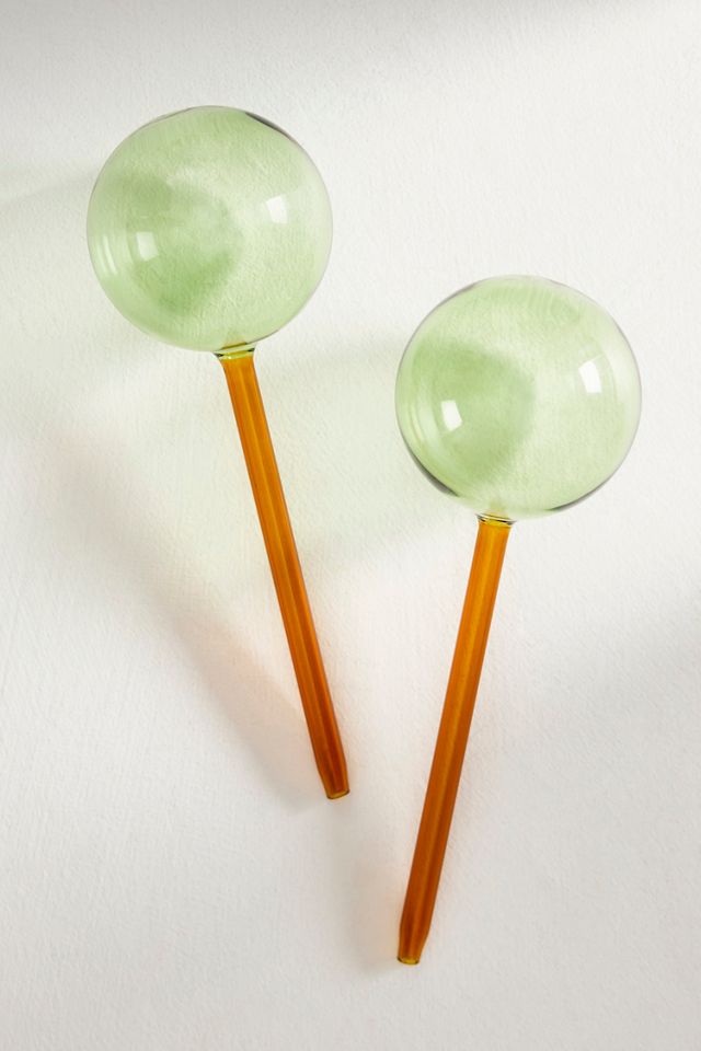 We the Wild Glass Watering Globes, Set of 2 #1
