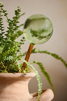 We the Wild Glass Watering Globes, Set of 2