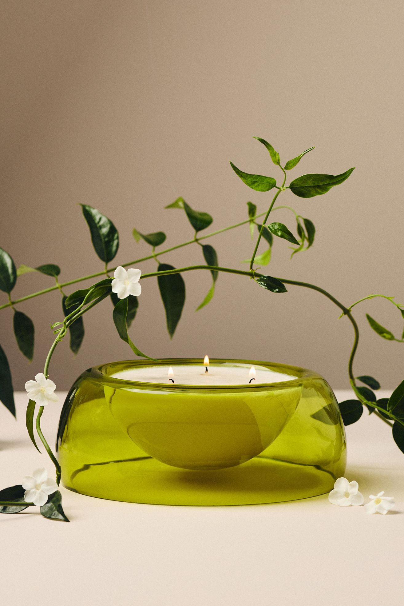 Slow Burn Glass Handblown Floral Jasmine Glass Candle - Lime