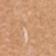Clear Beige