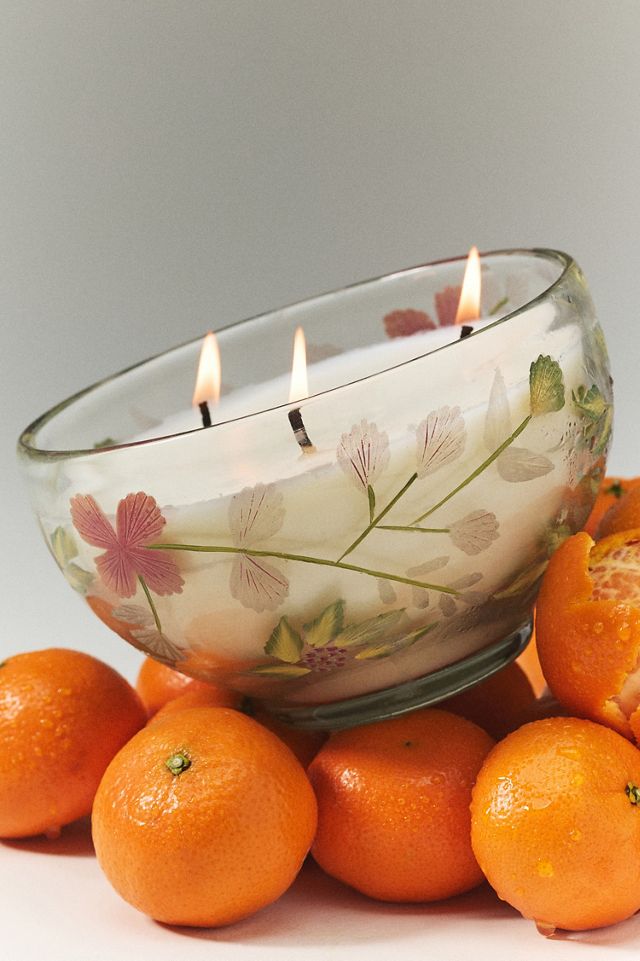 Etched Fruity Clementine & Jasmine Glass Candle | AnthroHome