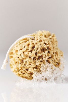 Bathing Culture Mineral Sea Sponge