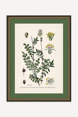 Wildflower Study Wall Art