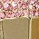 Pink/Gold