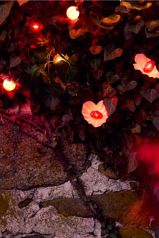 Stargazer Garden Lights, Set of 21 Bulbs, Sweet Hearts | Terrain