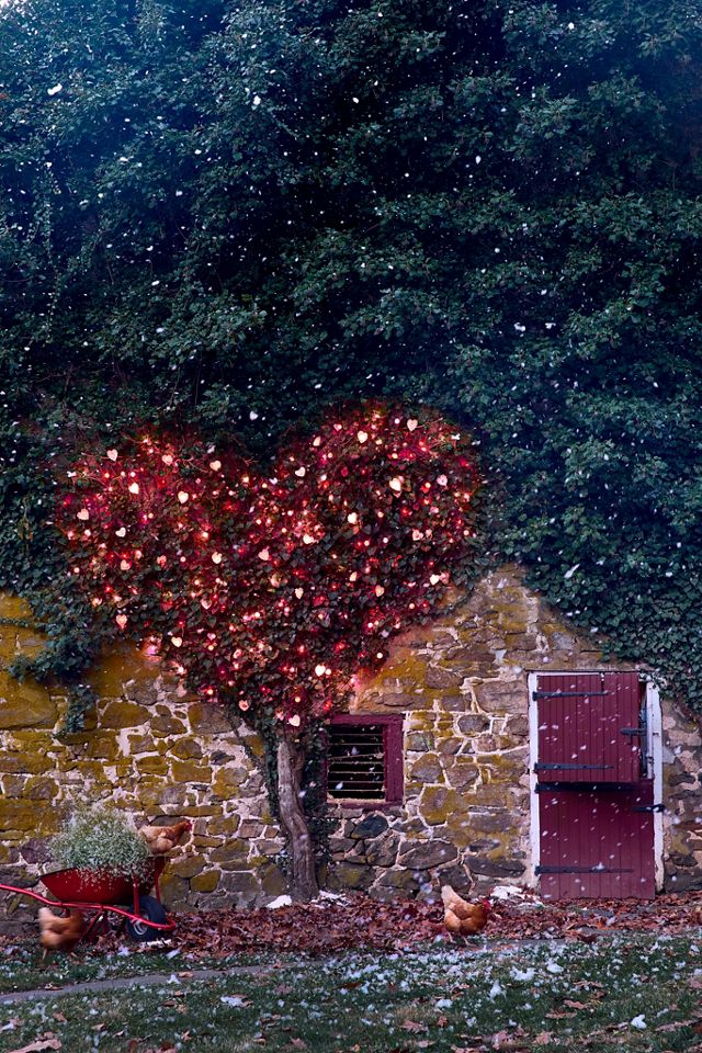 Stargazer Garden Lights, Set of 21 Bulbs, Sweet Hearts | Anthropologie