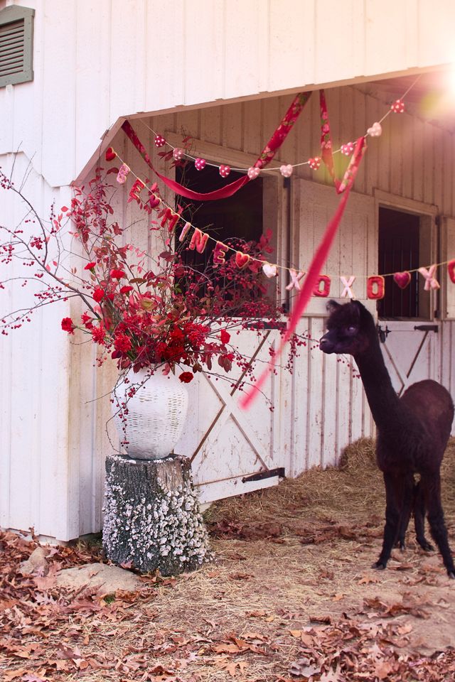 Be Mine Velvet Garland #3