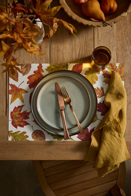 Terrain Fall Foliage Paper Placemats, Set Of 18