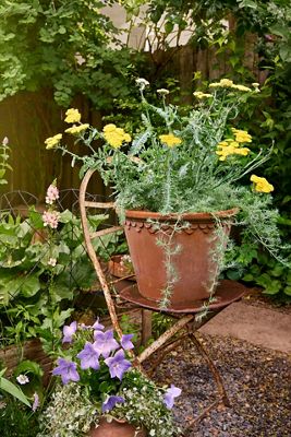 Outdoor Bergs Copenhagen Terracotta Pot, Rose