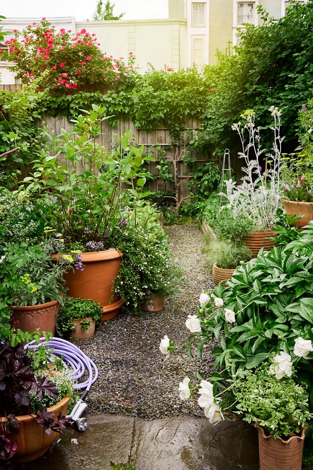 Outdoor Bergs Copenhagen Terracotta Pot, Rose #4