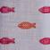 Candy Fish