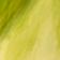 Green Pattern