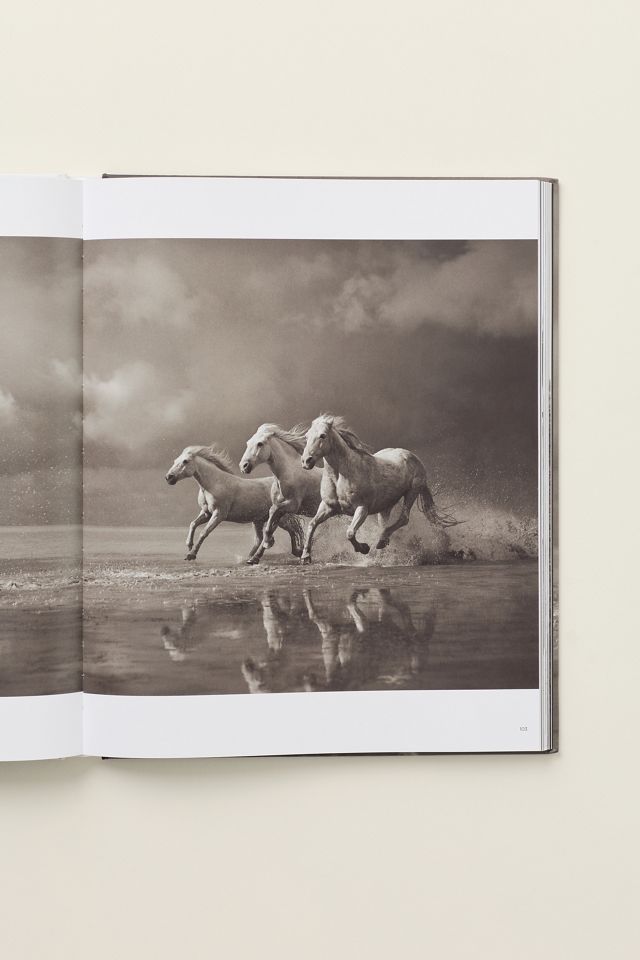 Untamed Spirits: Horses From Around the World Hardcover Book #2