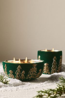 Velvet Forest Woody Juniper & Cedar Glass Candle