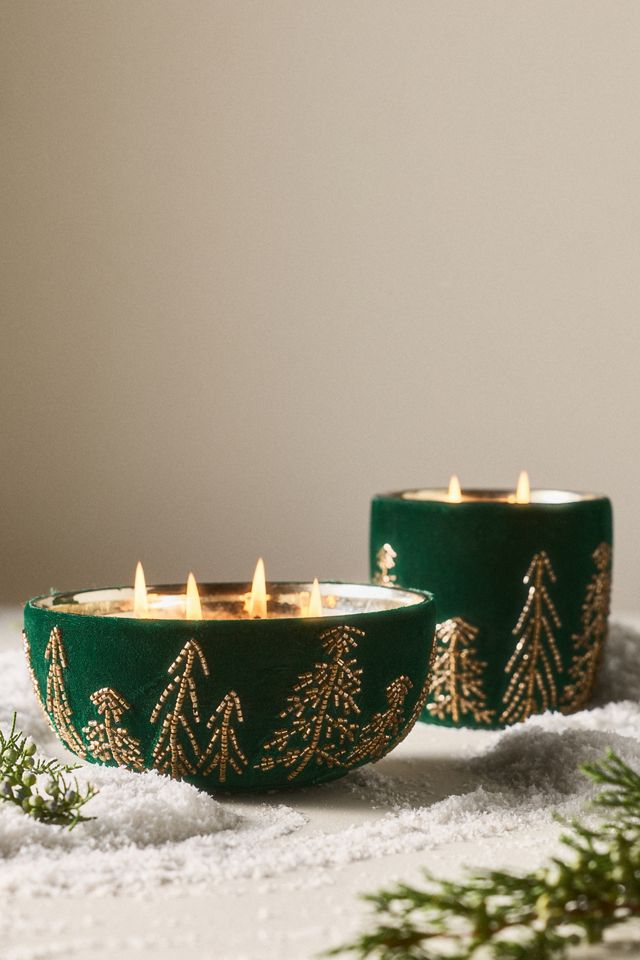 Velvet Forest Woody Juniper & Cedar Glass Candle #1