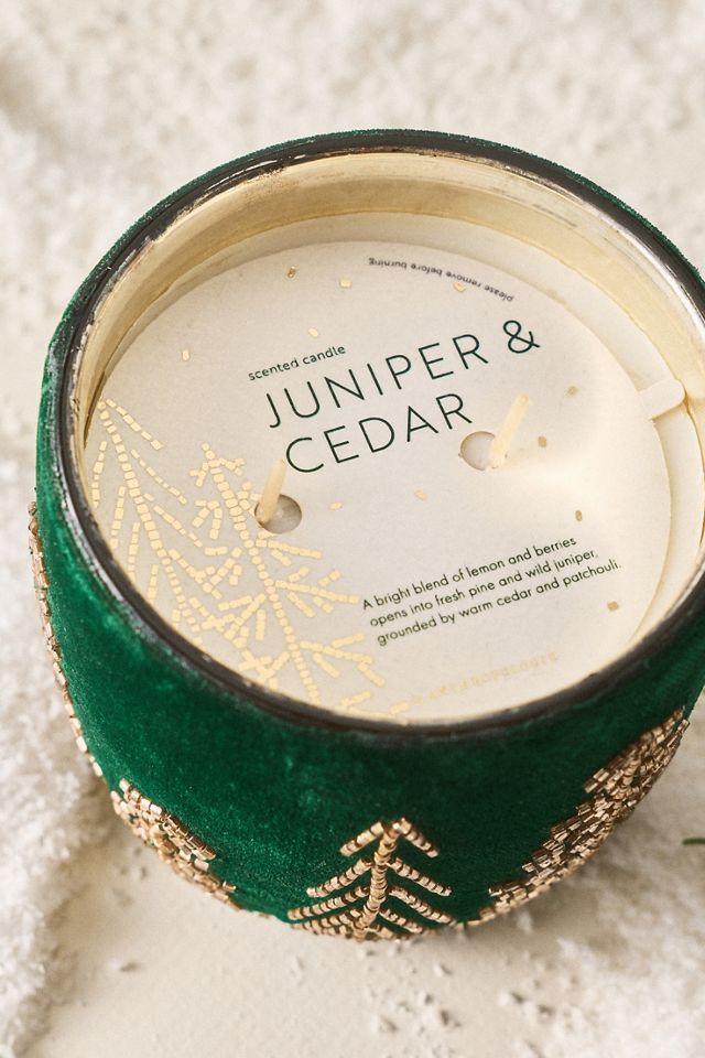 Velvet Forest Woody Juniper & Cedar Glass Candle #2