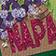 Furbish Studio Destination Matchbook Glass Ornament