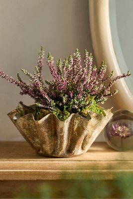 Golden Handkerchief Planter, Large