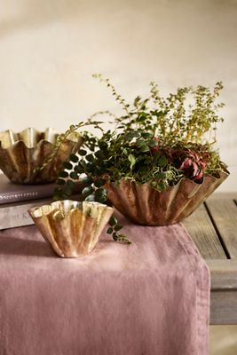 Golden Handkerchief Planter