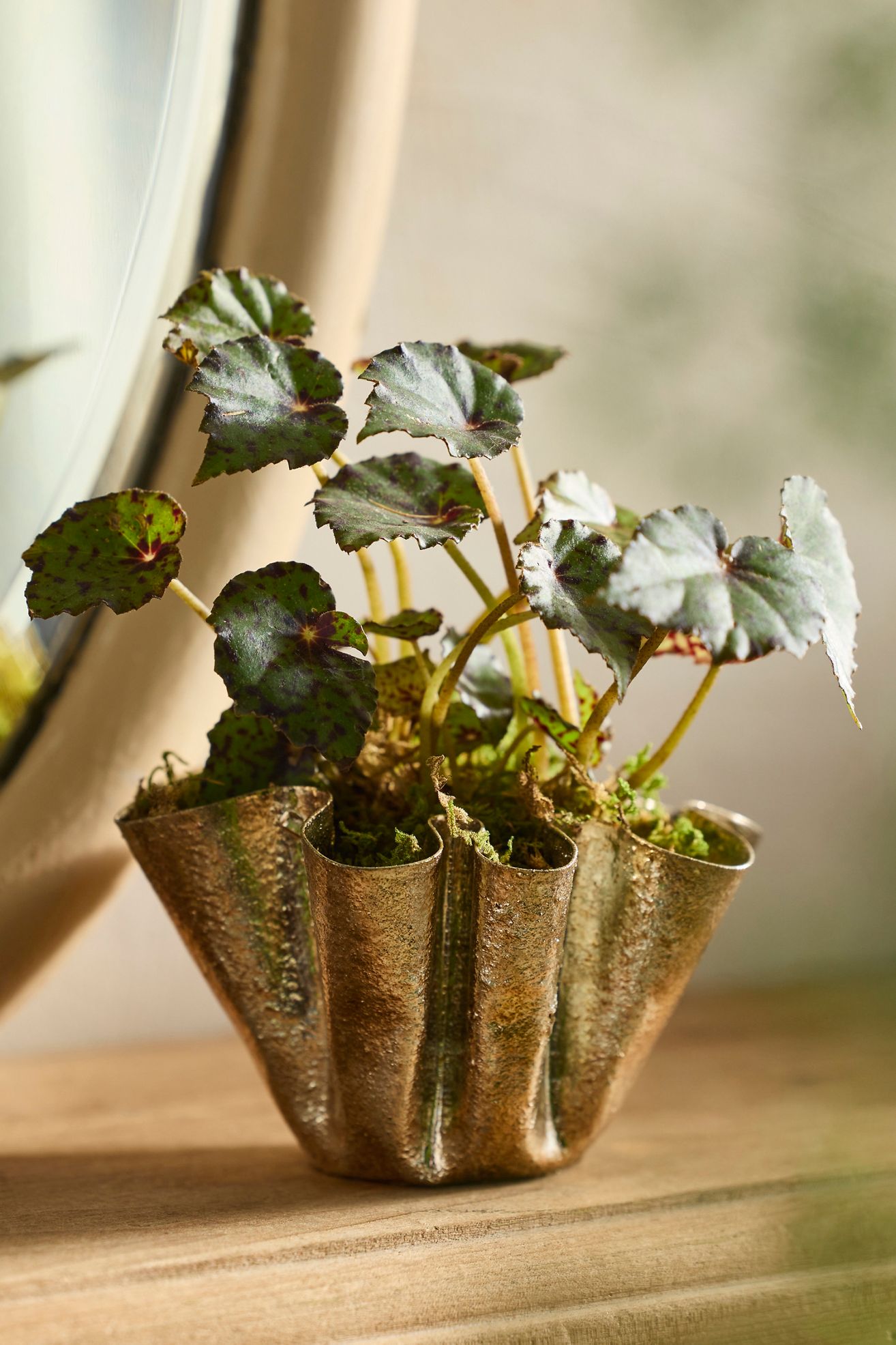 Golden Handkerchief Planter, Small - Gold Metallic, Standard, 4"