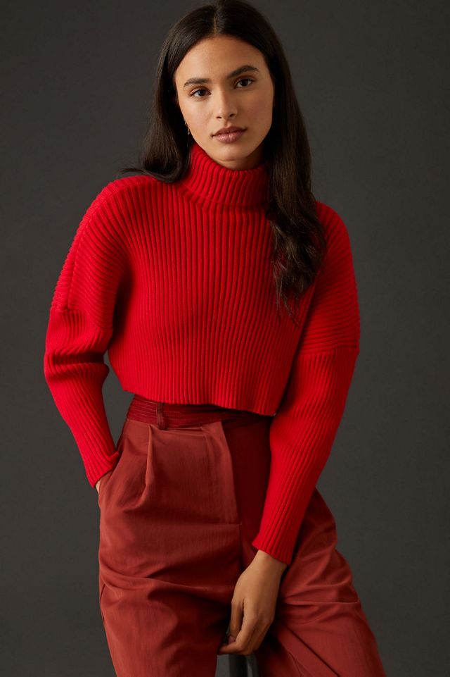 Bishop + Young Cropped Ribbed Turtleneck Sweater #1