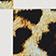 Leopard Skin