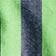 Navy/Lime