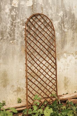 Rounded Top Willow Trellis, Set of 2