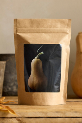 Terrain Squash Seed Starts Kit In Brown