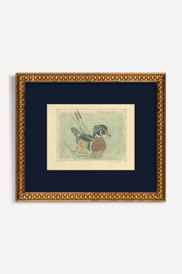 Wood Duck Wall Art