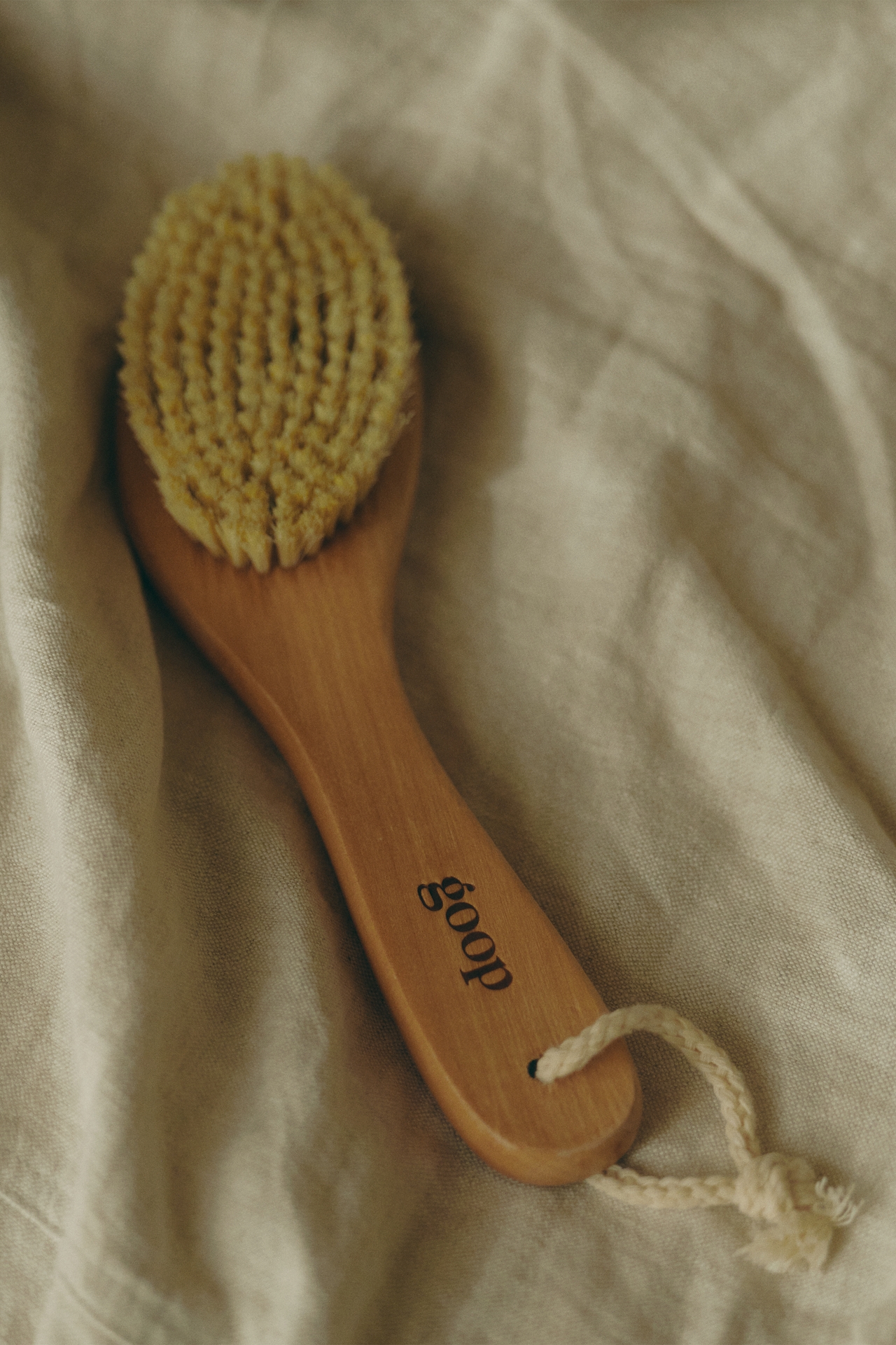 Goop Ultimate Dry Brush