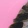 Shih Tzu Pink