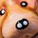 Retriever