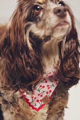 The Foggy Dog Ruffle Pet Bandana