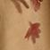 Brown Floral