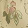Olive Floral Blossom